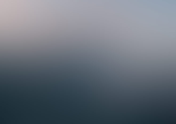 Diego profile placeholder